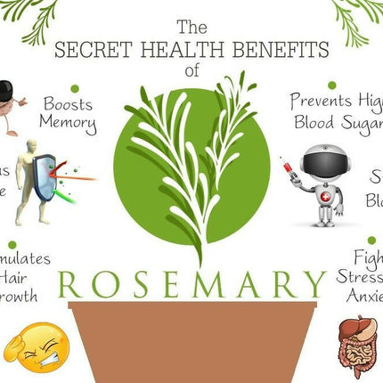 WishCare Rosemary Essential Oil