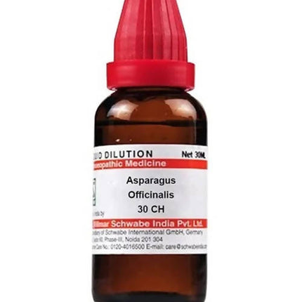 Dr. Willmar Schwabe India Asparagus Officinalis Dilution