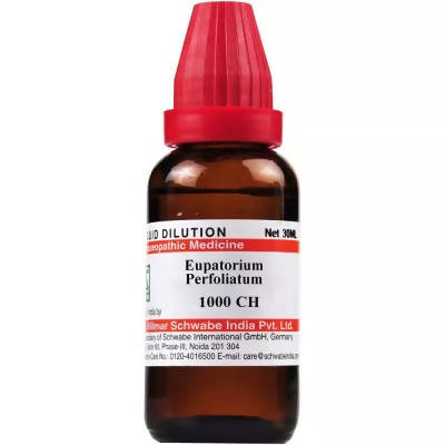 Dr. Willmar Schwabe India Eupatorium Perfoliatum Dilution