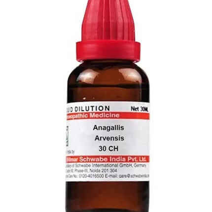 Dr. Willmar Schwabe India Anagallis Arvensis Dilution