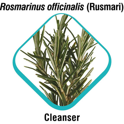 Himalaya Erina Plus Coat Cleanser with Conditioner