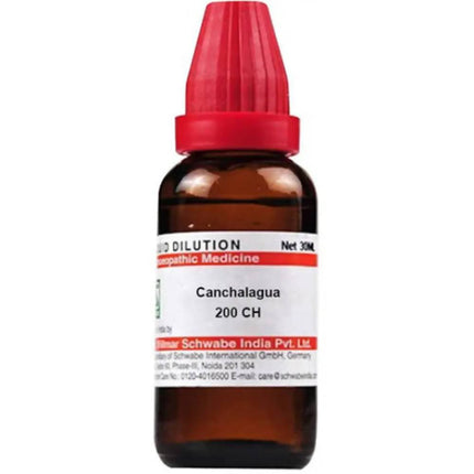 Dr. Willmar Schwabe India Canchalagua Dilution
