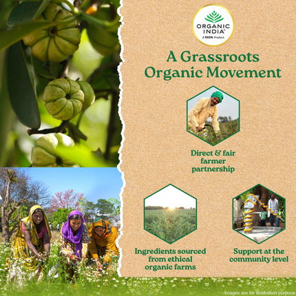 Organic India Garcinia Capsules