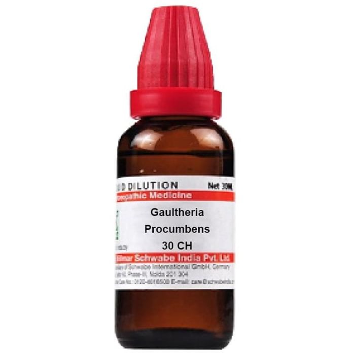 Dr. Willmar Schwabe India Gaultheria Procumbens Dilution