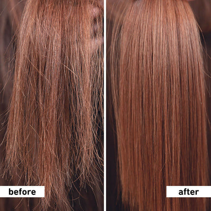 Plum Hibiscus & Ceramides Shampoo For Long, Healthy Hair