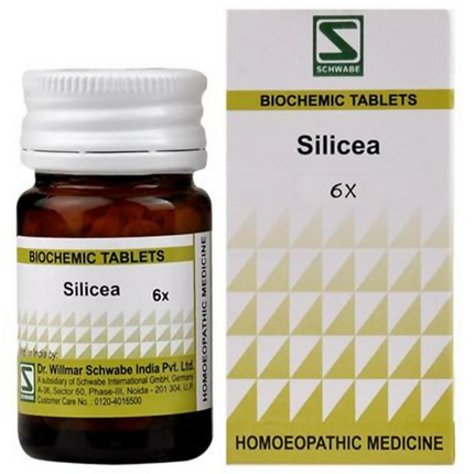 Dr. Willmar Schwabe India Silicea Biochemic Tablets