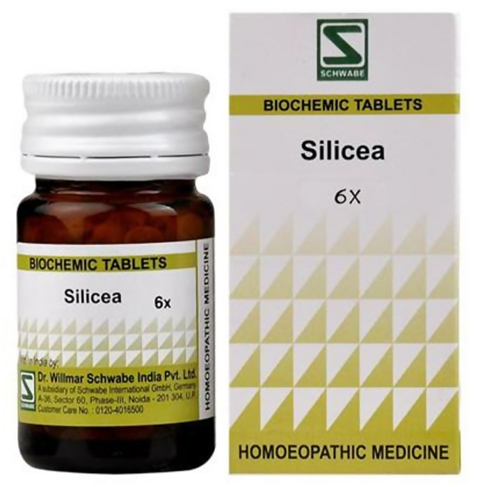 Dr. Willmar Schwabe India Silicea Biochemic Tablets