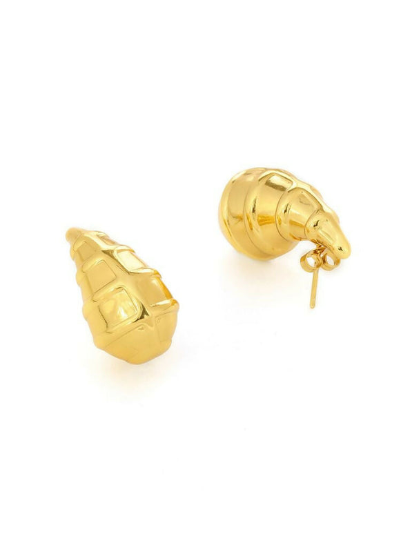 Golden Drop Earrings - Ruby Raang