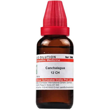 Dr. Willmar Schwabe India Canchalagua Dilution