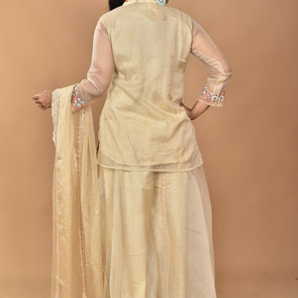 Morchari Women And Hand Embroidery Palazzo Set-Beige