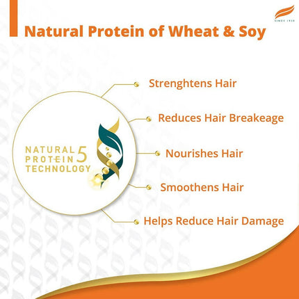 Himalaya Damage Repair Argan Oil Shampoo