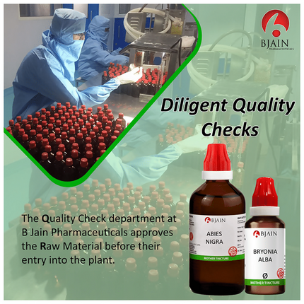 Bjain Homeopathy Gymnema Sylvestre Mother Tincture Q