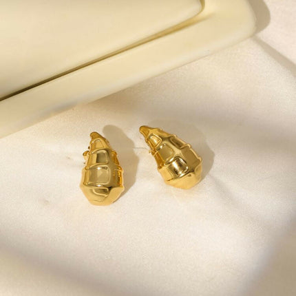 Golden Drop Earrings - Ruby Raang