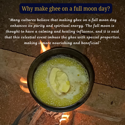 Tatsat Full Moon Day Ghee From Forest Gazing Amruth Mahal A2 Cows | Pure A2 Ghee, Natural & Healthy, Non-GMO