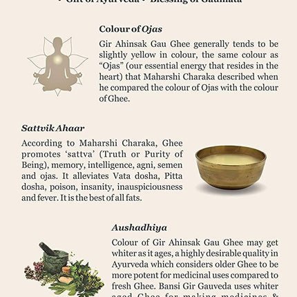 Gir Ahinsak Gau Ghee (A2) Bilona - A2 Ghee, Traditional Bilona Ghee, Desi Pure Breed Gir Gaumata (A2)