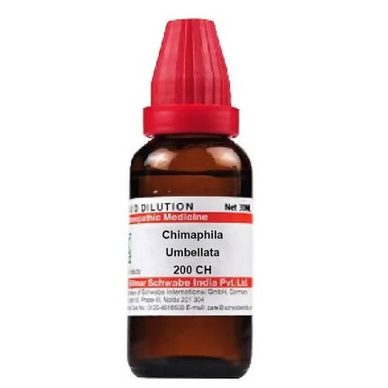 Dr. Willmar Schwabe India Chimaphila Umbellata Dilution