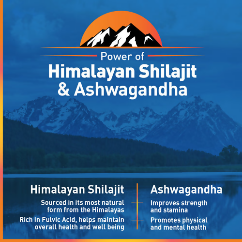 Zandu Vigorex SJ Ashwagandha Capsules