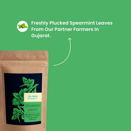 Tea Trunk Spearmint Leaves Natural Calming Tea
